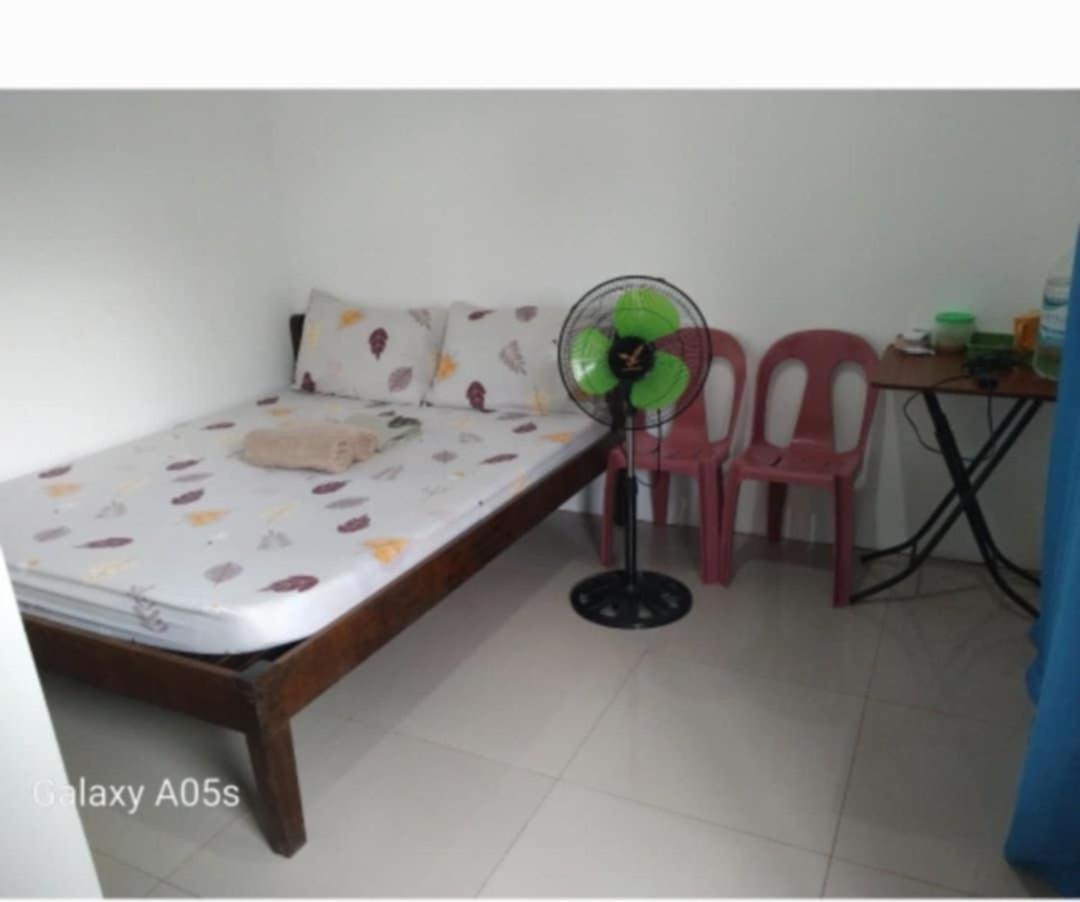Francis Home Stay Port Barton Bonifacio Street ซาน วิเซนเต ภายนอก รูปภาพ